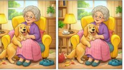 8-Second Challenge: Spot 3 Differences in the Grandma and Dog Image