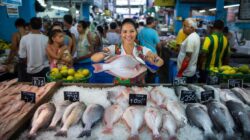 Once dismissed as a “poor people’s fish,” this affordable species is now becoming a prized staple as Brazilians rediscover its safety and nutritional value