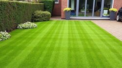 The Dutch technique that stops lawn moss before it even appears